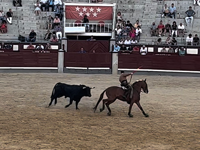 マドリードで闘牛を見ました。